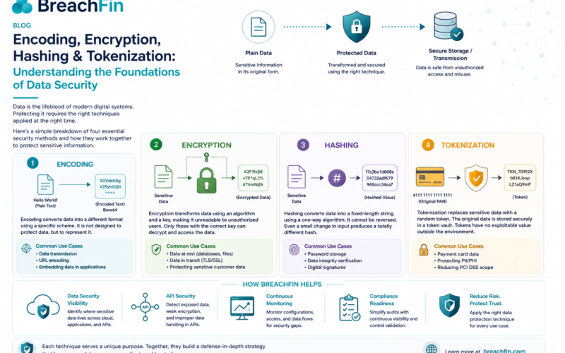 Encoding, Encryption, Hashing & Tokenization: Understanding the Foundations of Data Security